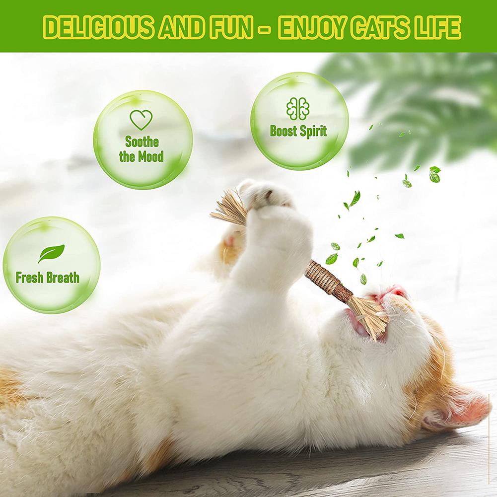 Wooden Teaser Stick Teething Chew Toys Cat Toy To Relieve Boredom Cats Supplies