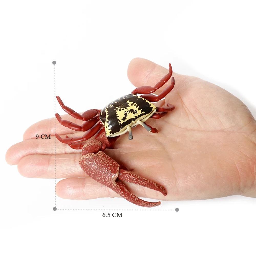 Realistic Prehistoric Sea Creatures Animal Figurines Baculite,Opabinia,Crab,Mantis Shrimp Educational Marine Animal Mode Figures