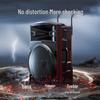 Портативная караоке-колонка на колесиках Newmine N521, вилка CN (адаптер в комплекте) (Китайская версия)