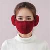 Winter Windproof Breathable Warm Masks Cold-proof Earmuffs Fleece Mouth Cover Ear Warmer