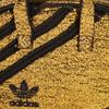 adidas Оригинальная полиэстеровая портативная сумка кроссбоди на плечо мини унисекс золотая Adidas HB0011