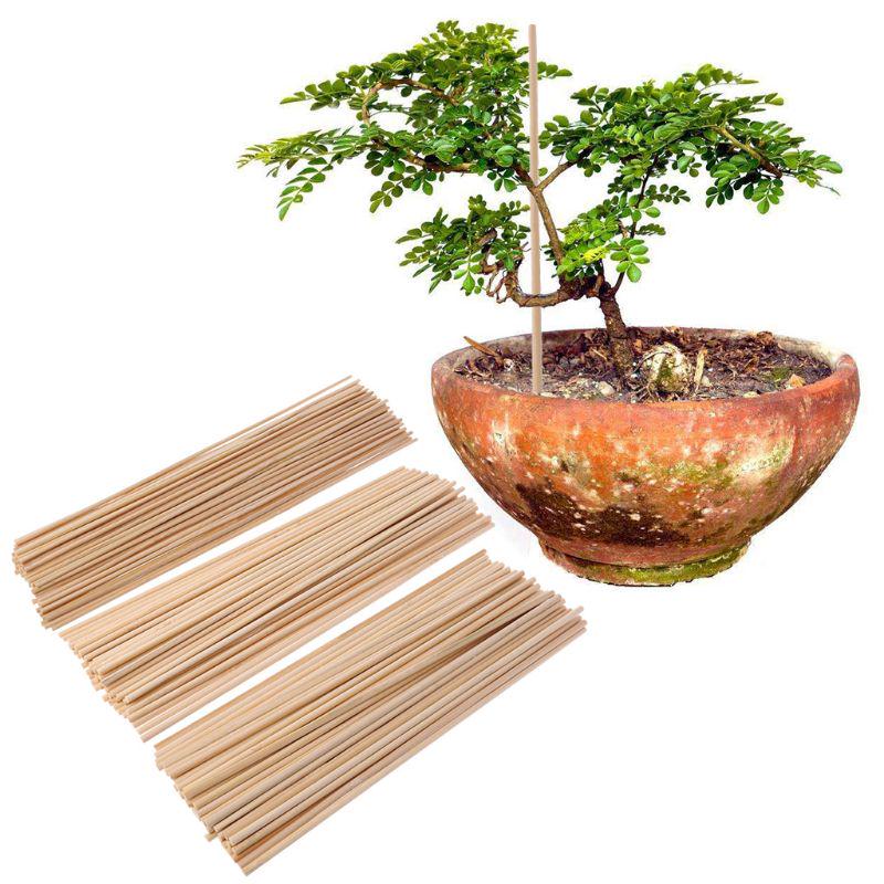 50pcs/set Wooden Plant Grow Support Bamboo Plant Sticks 30cm Garden Cane Plants Flower Support Stick Canes