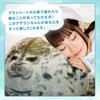 Seal Plush Toy, Soft and Fluffy Cushion, Body Pillow, Large Animal, Aquarium-Shaped Plush Toy, Cute Sofa Cushion, Portable (60cm)
