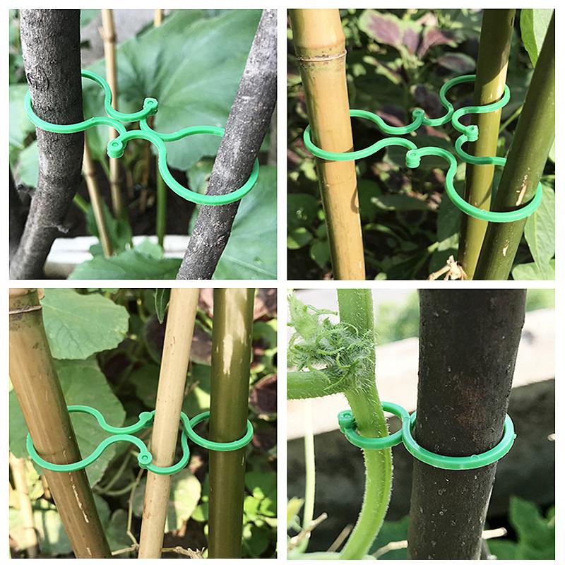 S/L садовые зажимы для обвязки виноградной лозы, набор из пряжек, держатель для колец, подставка для томатного сада, инструмент для декора сада, 10-50 шт.