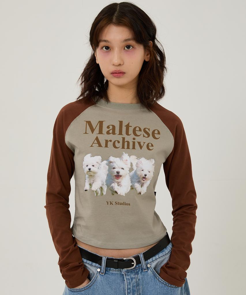 WAIKEI Maltese Archive Raglan Long Sleeve T-Shirt Mint