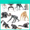 Детальная коллекция фигурок приматов из ПВХ, включая обезьян и лемуров в натуральную величину, для демонстрации