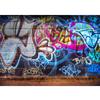 Graffiti Wall Photographic Backdrops for Photo Studio Photography Accessories Vinyl Photo Background Children Baby Photophone