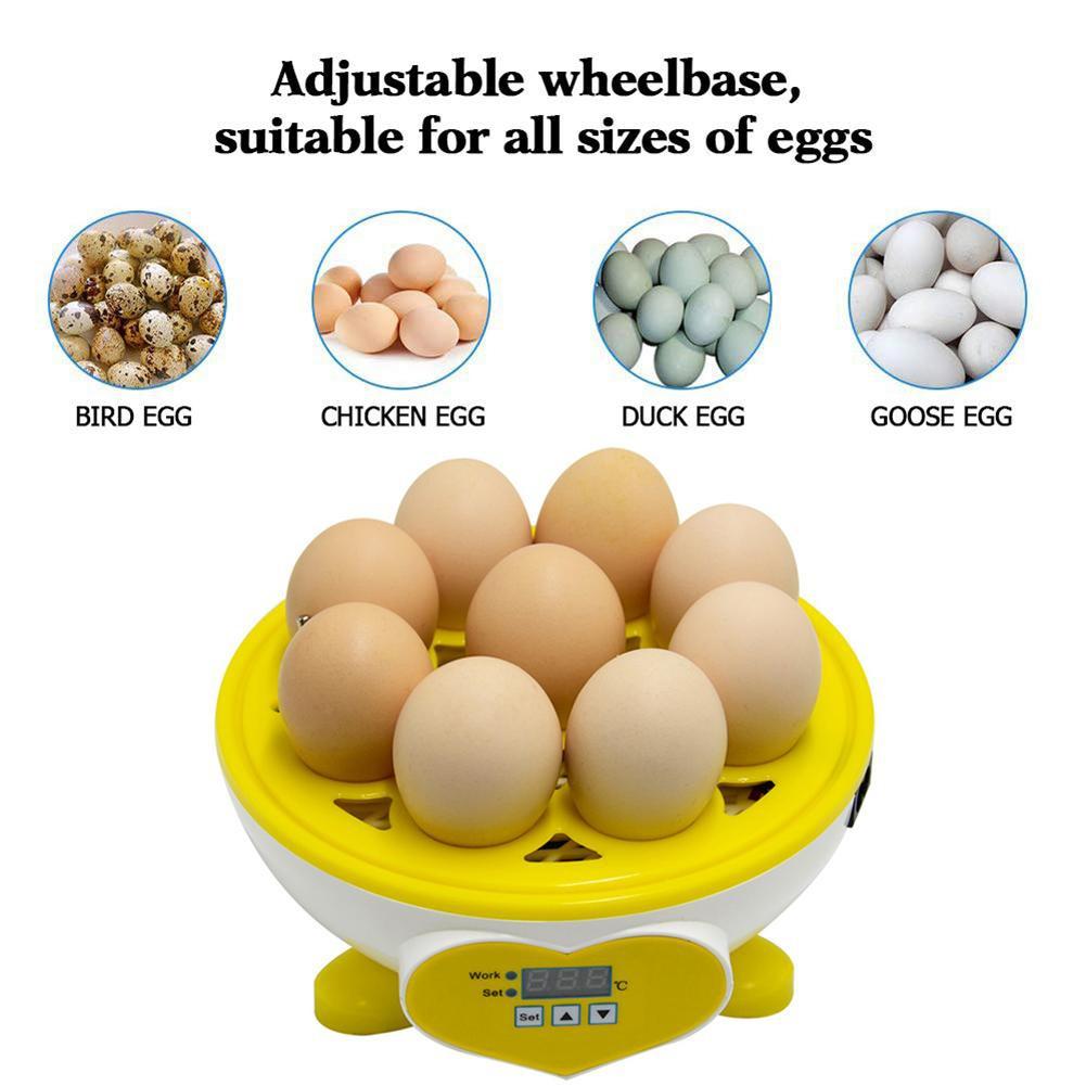 9 Eggs Incubator Automatic Poultry Hatcher with Smart Temperature Control Digital IncubatorDevice for Chickens Ducks Goose Bird