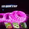 LED Grow Light Full Spectrum USB Grow Light Strip 0.5m 1m 2m 3m 2835 DC5V LED Phyto Lamp Tape for Seed Plants Flowers Greenhouse