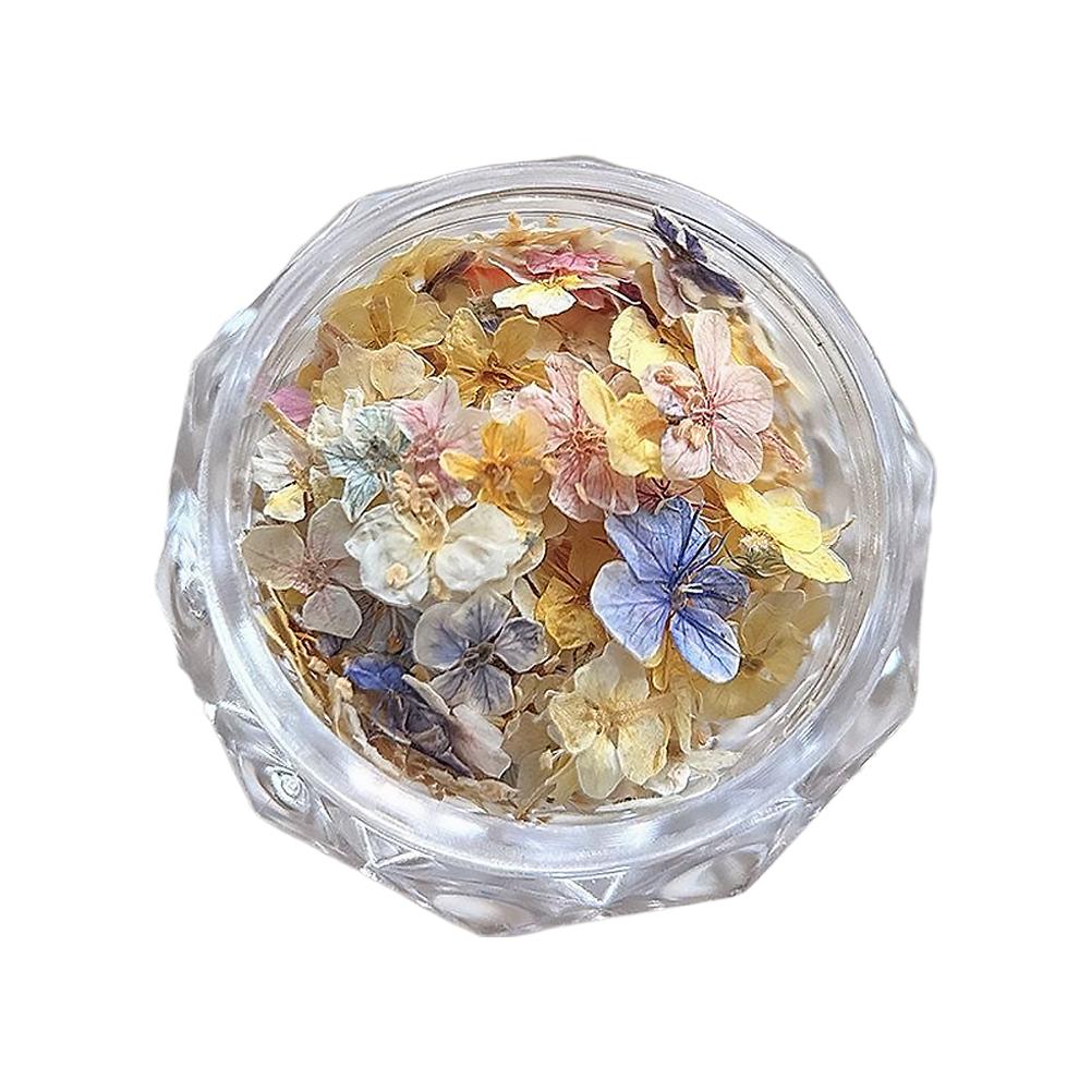 Dried Flower Materials For Nail Romantic Monet Garden Color Palette Vibrant Accessories Wildflower Nail Art Decorations Tools