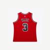 Джерси NBA Mitchell & Ness Bulls Дуэйна Уэйда