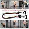 Exercise Kit - PEL - Ss-33 - Resistance Band - Eco-friendly - Unisex - Beginner