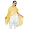 Индийские шарфы из шифона, накидка на шею, женская одежда, палантин Chunni Long Dupatta, подарок для