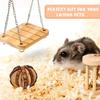 Hamster Chew Toys Set Natural Wooden Hamster Toys and Accessories for Cage Hamster Hideout Apple Wood Sticks Guinea Pig Chew Toys for Teeth Syrian