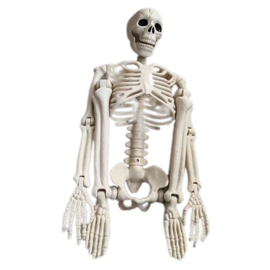 Реалистичные подвижные суставы скелета регулируемый Хэллоуин пластиковый скелет для декора кладбища