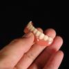 Instant Smile Comfort Fit Flex Natural Shade, Veneer Cosmetic Teeth-r