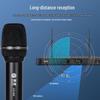 Huido CD-06 Professional Wireless Dual Rechargeable Microphone System (CN version)