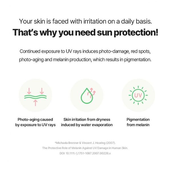 TORRIDEN Balanceful Cica Tone Up Sun Cream SPF 50+ PA++++ 60ml