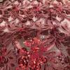 1 ярд Роскошная кружевная ткань с бисером и пайетками для шитья своими руками, свадебная вечеринка, свадебное вечернее платье, сделай сам, швейный материал из французского тюля