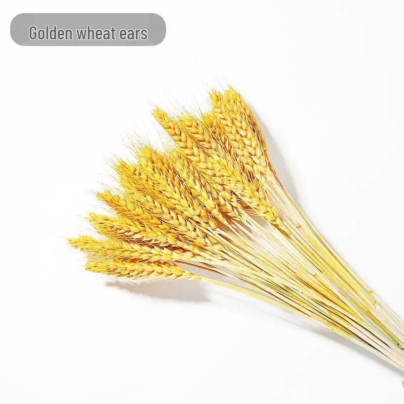 Zen Bouquet: Preserved Natural Cotton and Wheat Ear Flower Arrangement for Living Room Decor