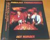 LP Record FABULOUS THUNDERBIRDS  Hot Number 28AP3363 CBS SONY 1987 Japan Rock Used