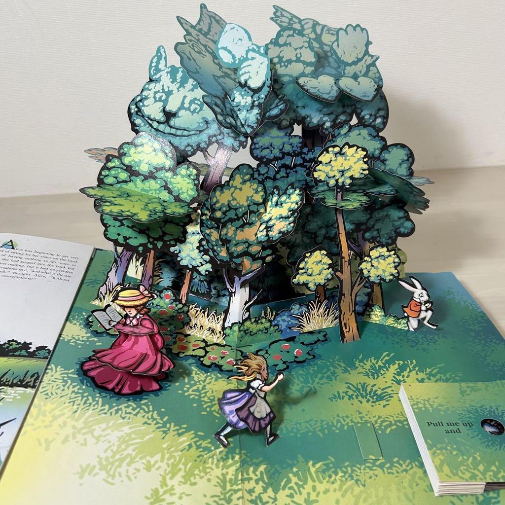 [Б/У] Алиса в Стране чудес Английская Книжка с картинками