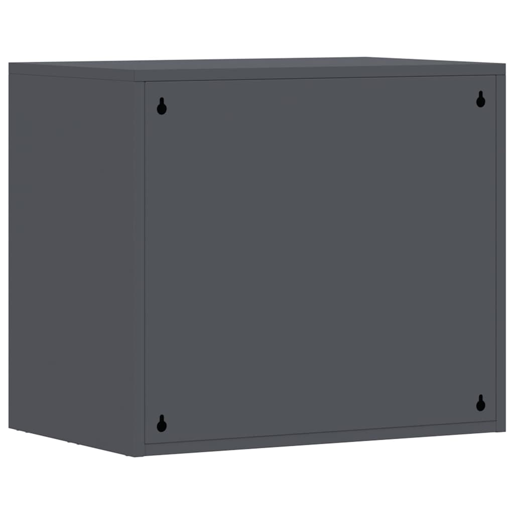 Wall Mounted Garage Cabinet with Gas Spring Door Anthracite