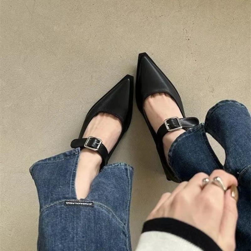 Fashion Coarse Heeled Women's Shoes, Retro French Buckle, Mary Jane Women's Shoes, Pointed Toe, Low Heel, Shallow Mouth Single Shoe