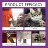 Cat Behavior Guidance Spray Furniture Anxiety Relief Multi-pet Family Suitable Non-irritating 60ML