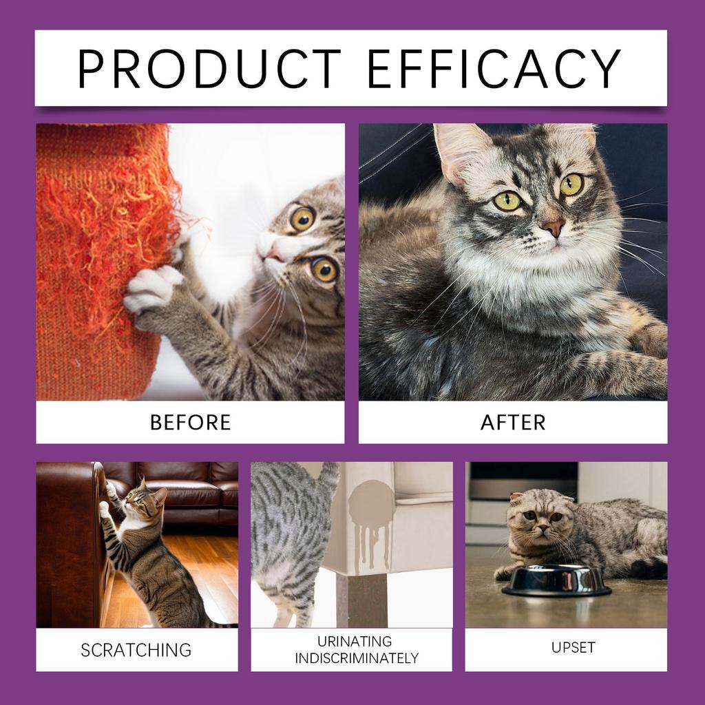Cat Behavior Guidance Spray Furniture Anxiety Relief Multi-pet Family Suitable Non-irritating 60ML