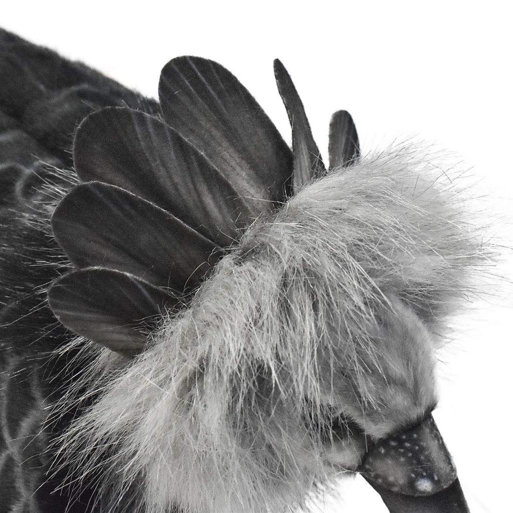 BH7710 HANSA Harpy Eagle 50