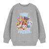 Childrens/Kids Collegiate Sweatshirt