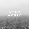 CD ANOTHER SUNNYDAY - OPEN WORLD DQC1390 Япония ОбиЯпонский Поп/Рок Б/у