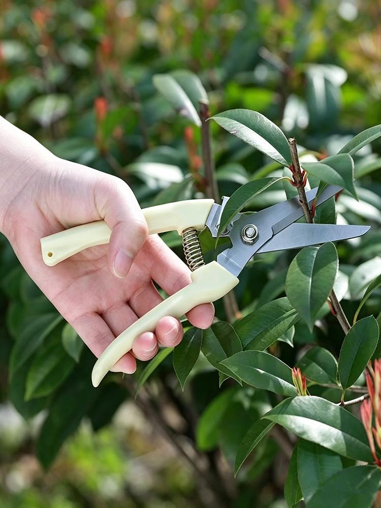 Grafting Pruning Shears Garden Grafting Scissors Multi-Function Fruit Tree Branch Cutting Trimmer Tool for Gardening Plant Grafting
