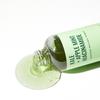 prooted Green Cleansing Kale Shampoo for Oily Scalp & Mint Cooling 500ml