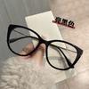 Cat Eye Shape Glasses Frame Men  Material Anti Blue Light Glasses Women Fashion Stylish Glasses For Women Frames