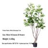 Luxurious Hydrangea Floor Plant - Elegant Green Indoor Decor for Living Rooms
