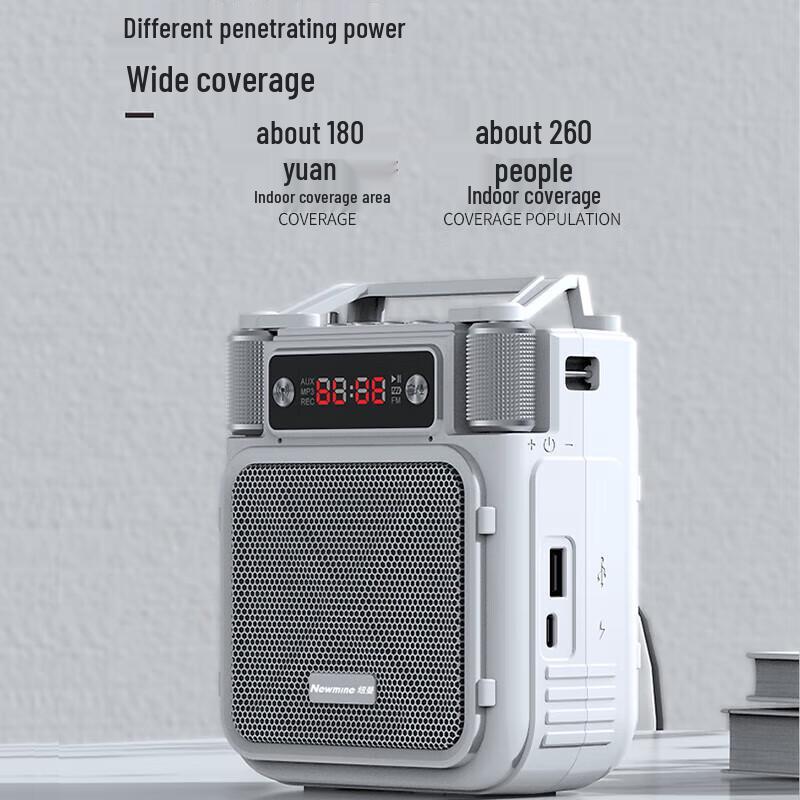 Newman Little Bee MS19 Portable Wireless Voice Amplifier