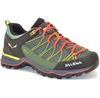 Треккинговые ботинки Salewa Mountain Trainer Lite GTX