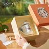 Кружка JOYYE Wonderland с крышкой и ложкой