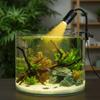 Rotatable LED Aquarium Light 3/12 W Grow Light Decorative Landscape Lamps  Reptile Tank