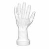 PVC Male Hand Model Handshake Pose Jewelry Display Holder New Fake Hand Model  Jewelry Display