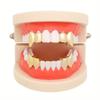 2Pcs/Set Double Glossy Tooth Caps Gold Silver Color Mouth Teeth Grillz  Party Cosplay