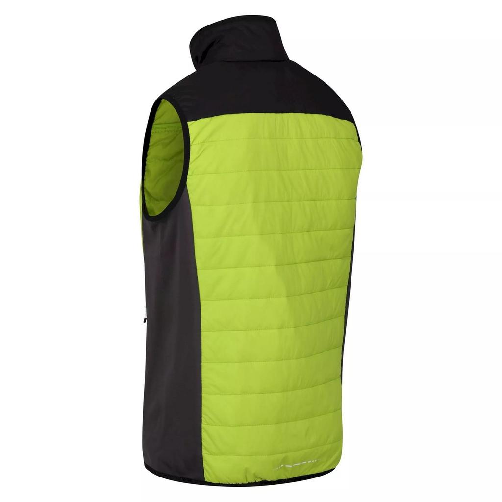 Regatta Mens Halton VI Lightweight Body Warmer