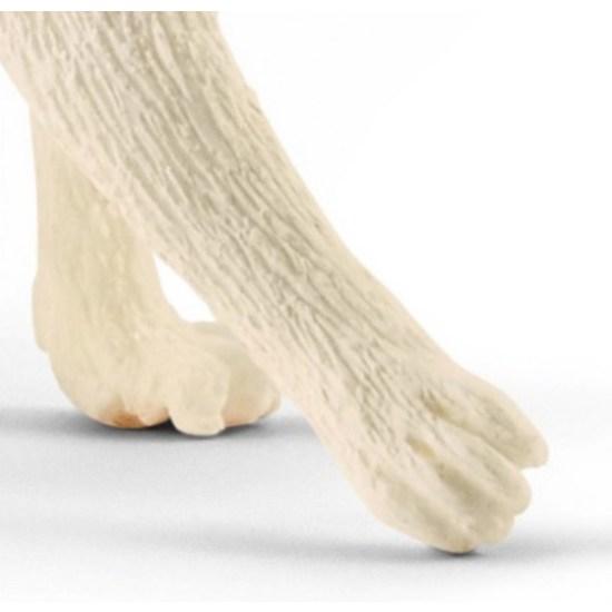 Schleich American Shorthair Cat SL13894, 1 Piece, Popular Toys In Korea