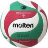 Molten Freestyle Tech Volleyball V4M5000 Lightweight Durable Design Indoor Outdoor Play