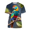 Fashion New Color Parrot Graphic T Shirts For Unisex Summer Trend Casual Tees Harajuku Printed O-neck Short Sleeve Top