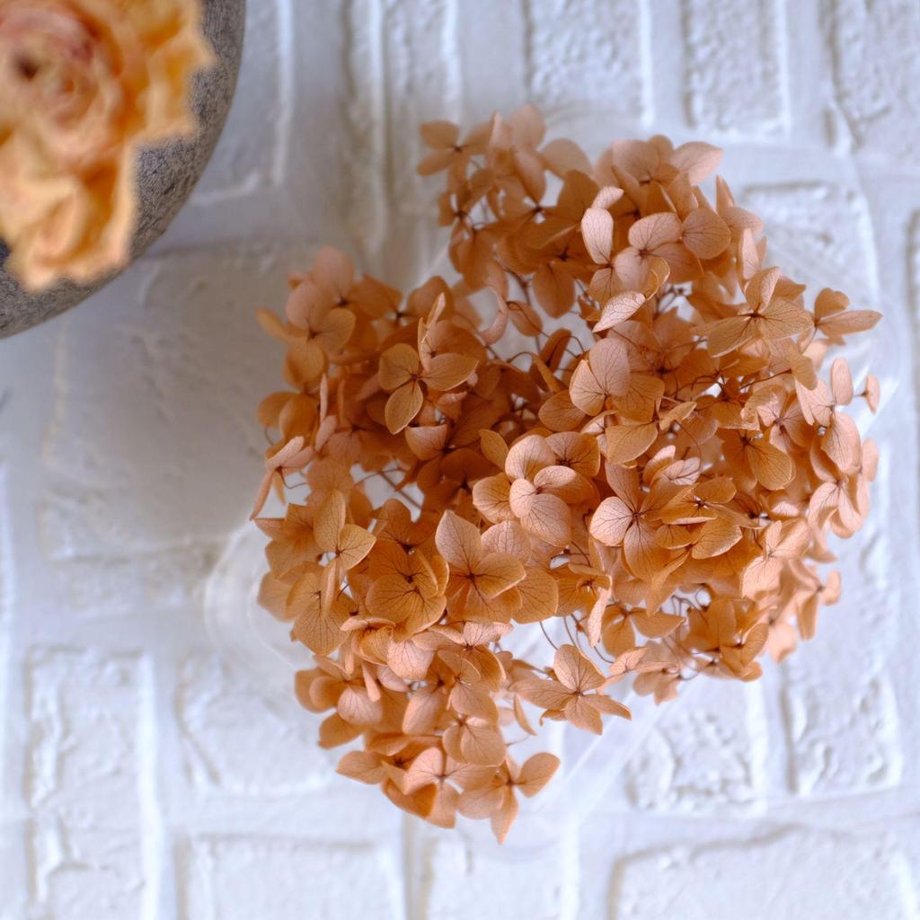 Eternal Hydrangea Dried Petals - Craft, Decor, Gift Accessory