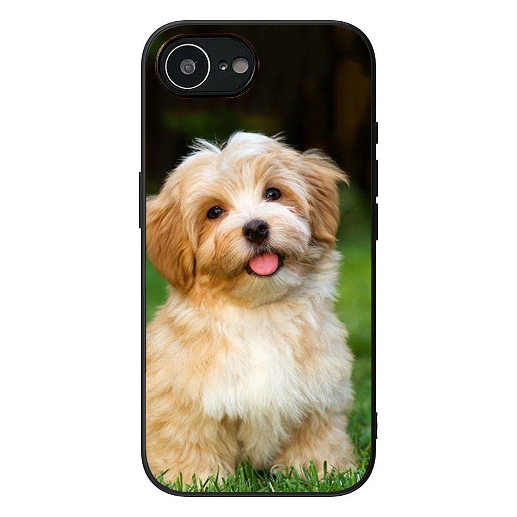 Soft Cover for Samsung Galaxy S22 S21 S20 FE Ultra Plus A35 A36 A55 A37 A33 A34 A57 Coque Phone Case Pomeranian Poodle Dog