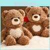 Bear Rose Teddy Plush Toy Cartoon Stuffed Animal Doll Cute Kids Birthday Gift